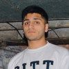shahnavan